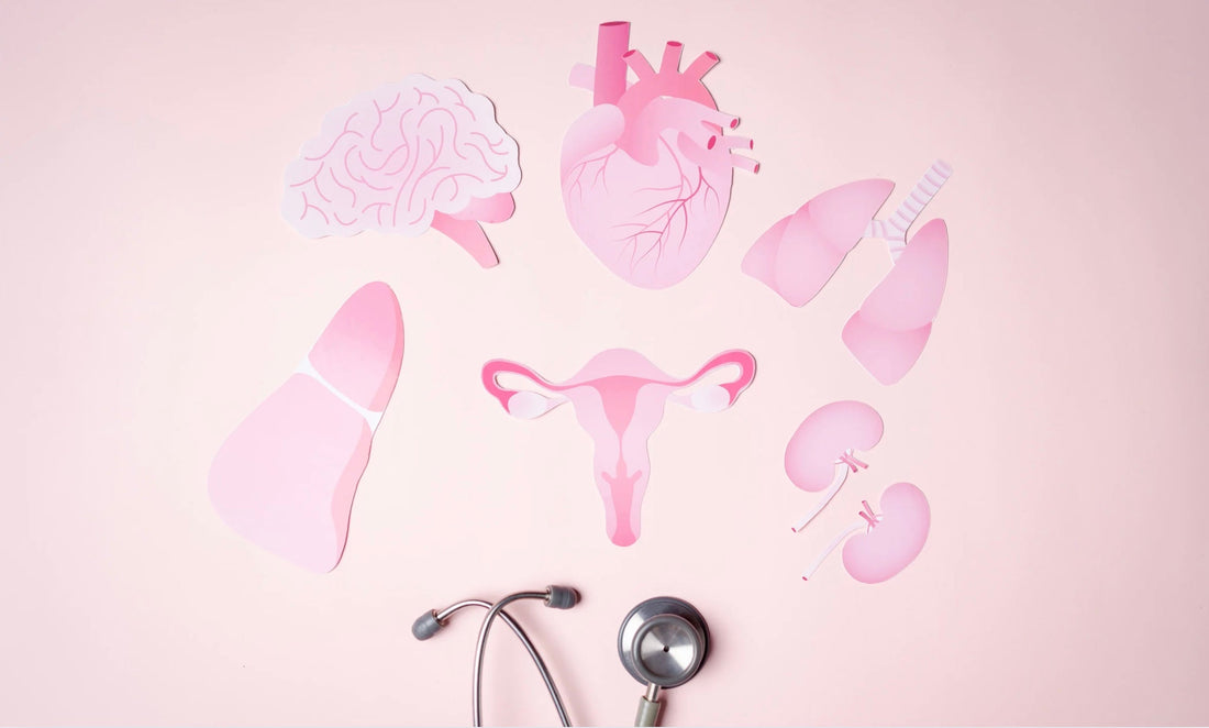 Myo-Inositol und D-Chiro-Inositol – zeigt ihre Rolle bei der Insulinsensitivität, hormonellen Balance, Fruchtbarkeit und neuronalen Gesundheit. Unterstützt die Funktion von Eierstöcken, Nerven, Leber und Stoffwechselprozessen.