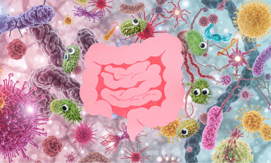 Symbolische Darstellung: Parasiten im Darm, umgeben von regenerativen Mikroorganismen – Symbioselenkung zur mikrobiellen Balance.