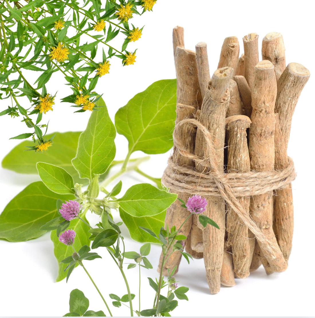 Entdecken Sie, warum Ashwagandha, Rhodiola und Rotklee mit Vorsicht zu genießen sind, und erfahren Sie mehr über ihre Wirkungen.