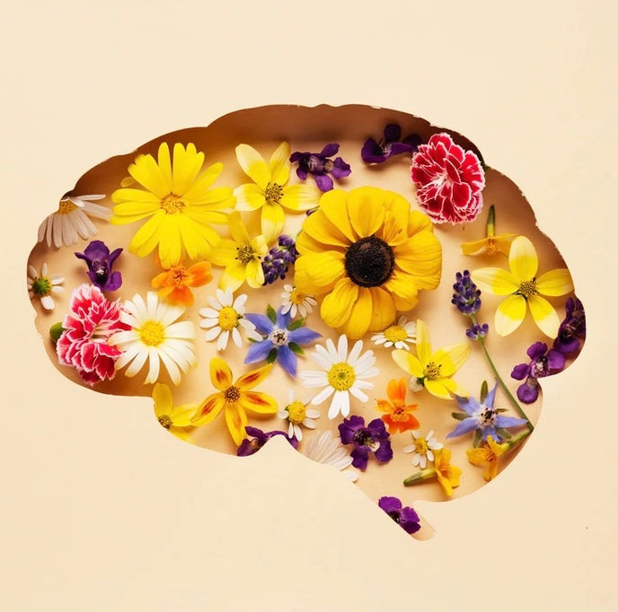 Mental Health Natuvisan