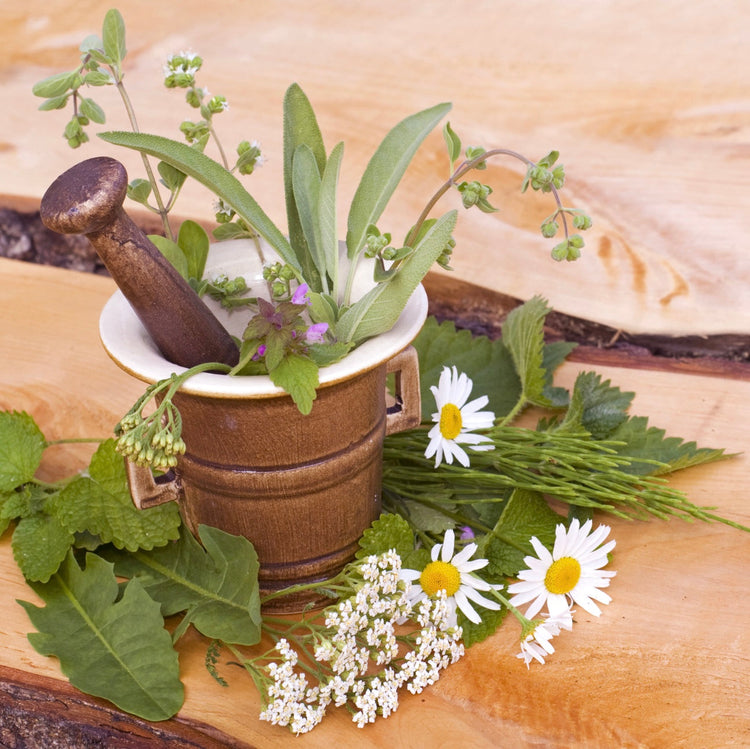 KräuterMax Maximale Kräuterkraft - Naturheilkunde & Naturkosmetik