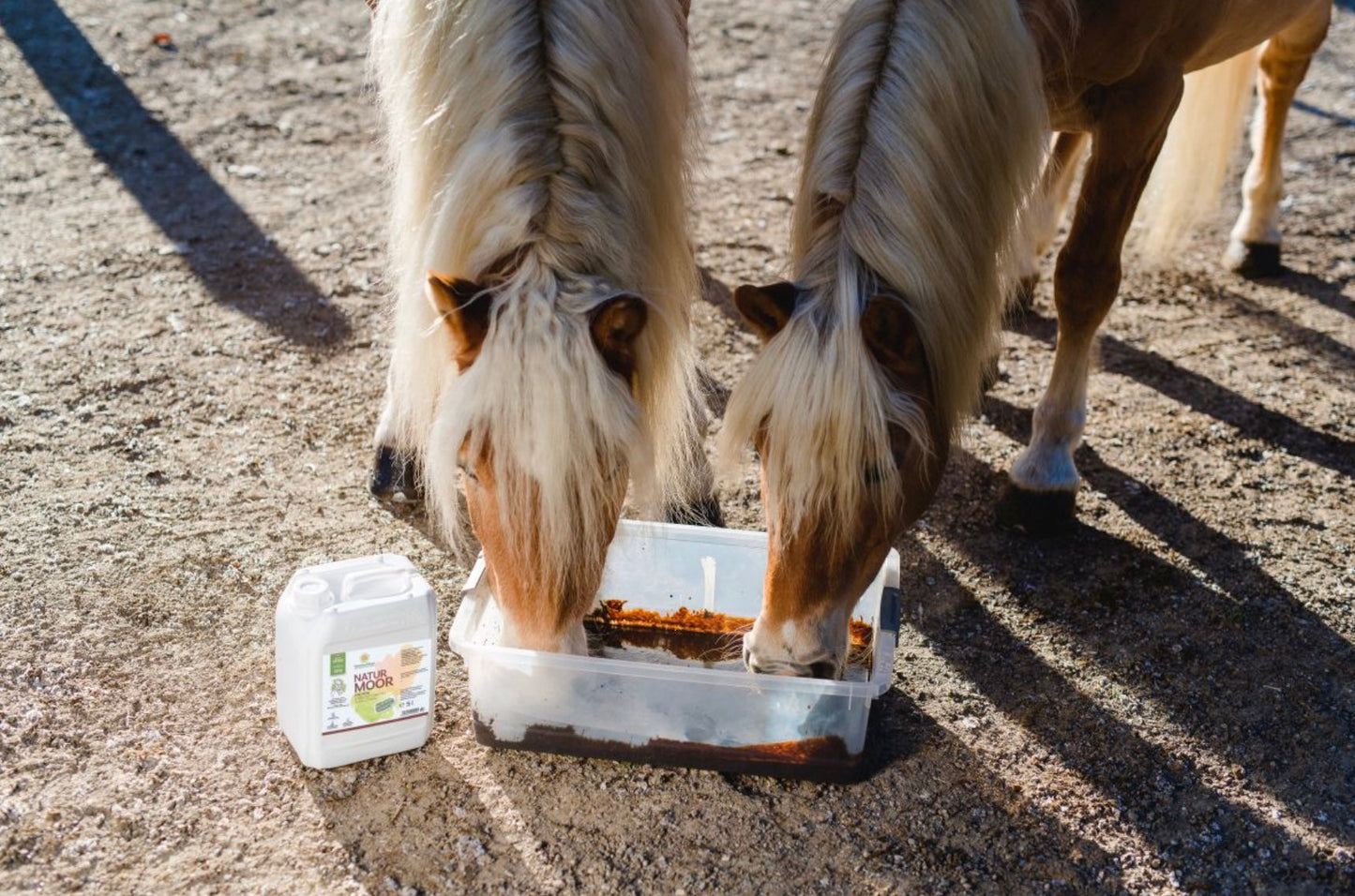 SonnenMoor Naturmoor mit Huminsäuren für Pferde - 5000 mlDas Moor für Pferde (auch für andere Tiere) von SonnenMoor ist ein reines Naturprodukt, frei von chemischen Zusätzen. Das Naturmoor für Pferde besteht aus wertvollem
