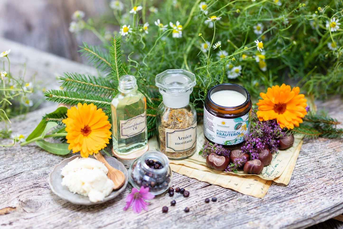 SonnenMoor Kräuteröl Creme Flotte Beine Kräutersalbe - 90gDie rein natürliche Kräutersalbe (Flotte Beine) ist ideal für die Pflege beanspruchter Haut und Beine. Mit Kräutern und Pflanzen in Arzneibuchqualität wie Arnika, Ro