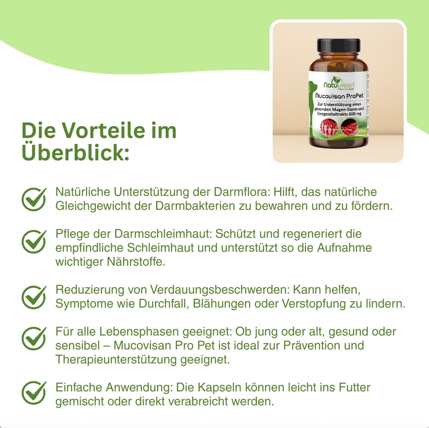 Natürliche Darmpflege für Haustiere – Mucovisan ProPet mit L-Glutamin, Vitalpilzen und präbiotischen Ballaststoffen zur Stabilisierung der Darmschleimhaut und Förderung der Nährstoffaufnahme.