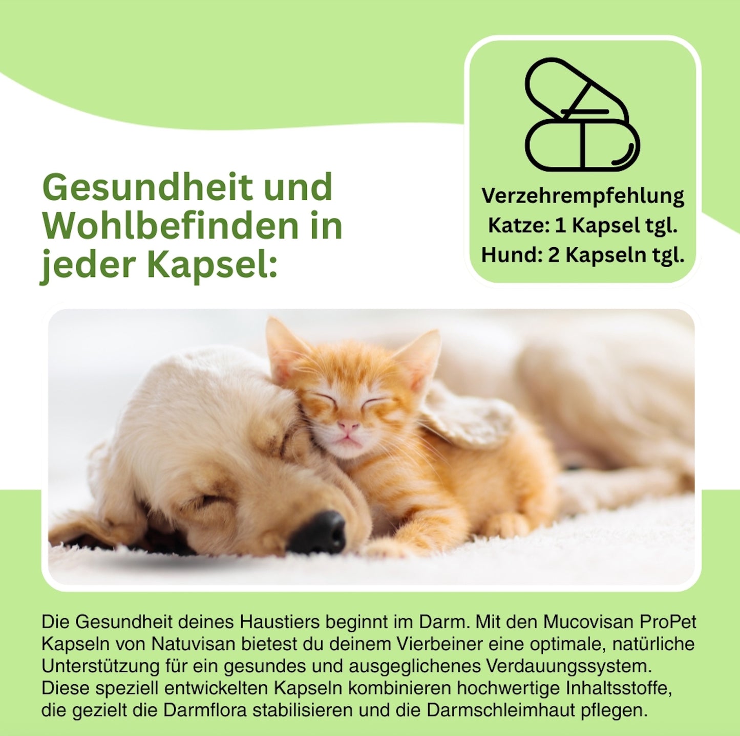 Für mehr Vitalität bei Hund und Katze – Mucovisan ProPet unterstützt das Gleichgewicht der Darmbakterien, stärkt die Abwehrkräfte und lindert Verdauungsprobleme wie Blähungen oder Durchfall.