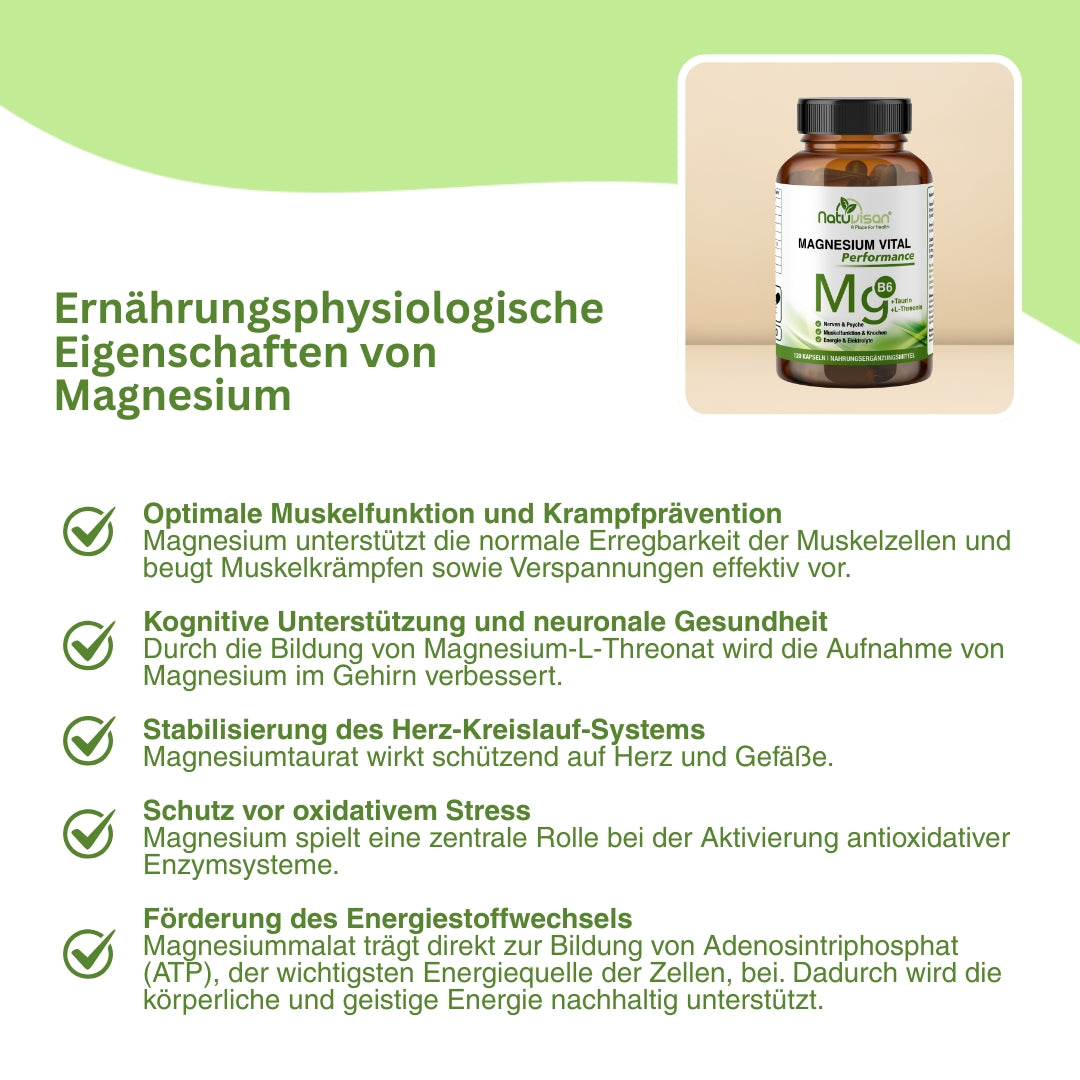 Visualisierung der synergistischen Wirkung von Magnesium, Taurin und Vitamin B6 auf antioxidative Prozesse – unterstützt den Zellschutz vor freien Radikalen, verbessert die Regeneration und stärkt die Stressresistenz.