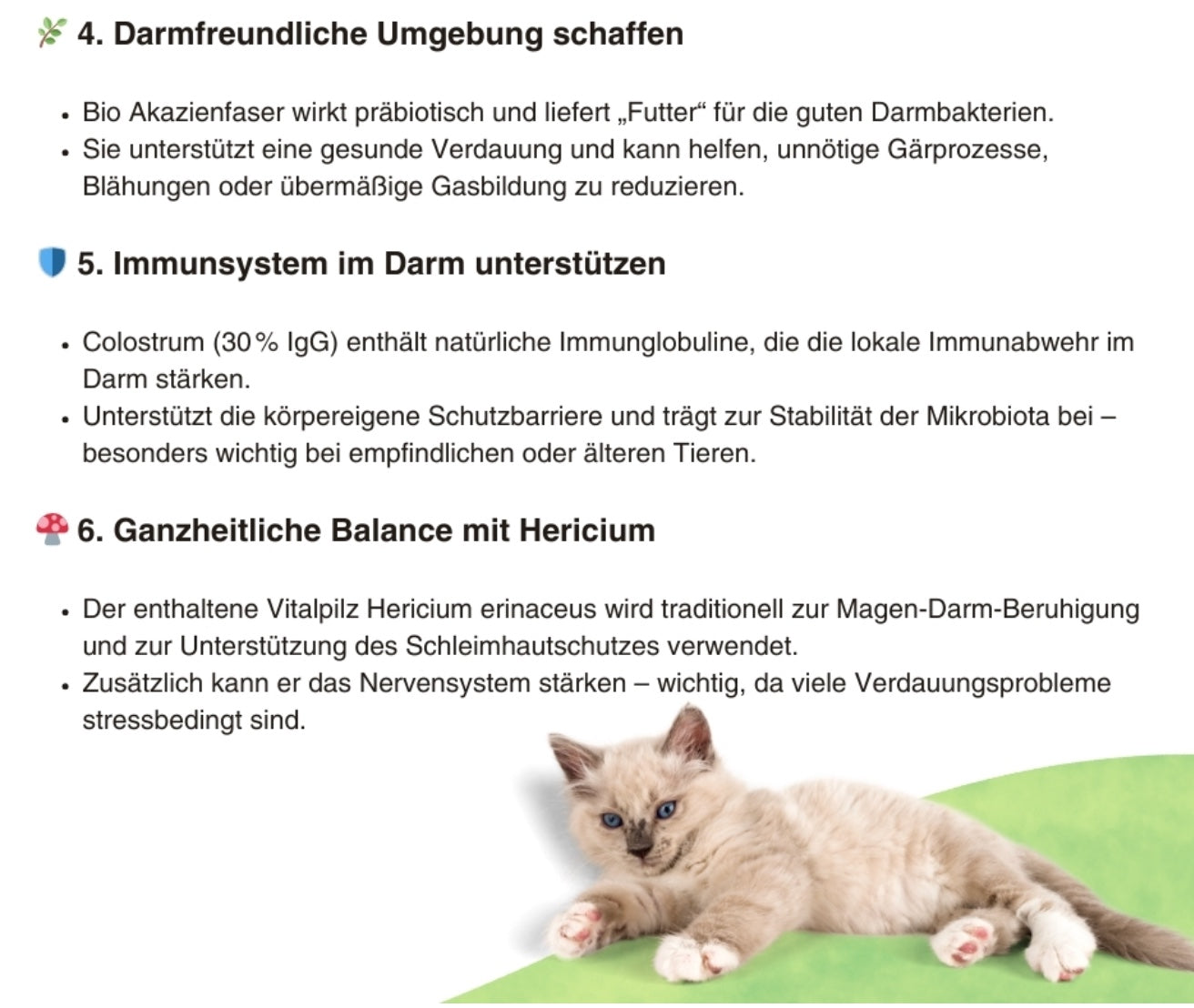 Natuvisan Mucovisan Pro Pet – hochwertige Kapseln zur optimalen Pflege und zum Schutz der empfindlichen Darmgesundheit deines Vierbeiners.
