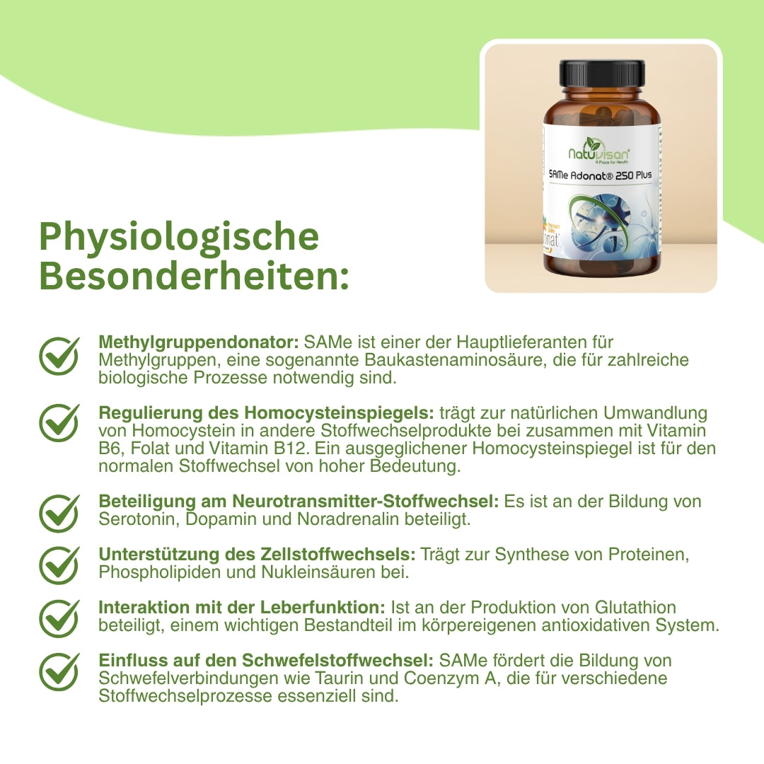 Visualisierung der Rolle von SAMe bei der Bildung von Serotonin, Dopamin und Noradrenalin – unterstützt mentale Leistungsfähigkeit, Stimmung und kognitive Funktionen durch gezielte Nährstoffzufuhr.