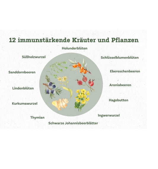 Fläschchen Immunkraft 800 ml – konzentrierter Kräuterauszug mit Holunder, Thymian, Schlüsselblume, Kurkuma und Zink für eine starke Immunantwort und ganzheitliche Unterstützung in der Erkältungszeit