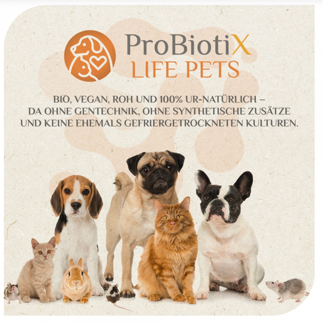 Mikroveda life pets sorgt für die Mikrobiom-Balance Ihres Haustiers. Das fermentierte BIO-Ergänzungsfuttermittel unterstützt bei Futterumstellungen und mehr.