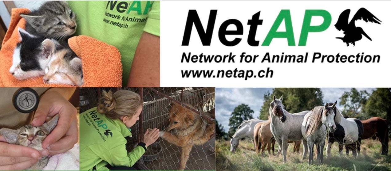 NetAP - Network für Tierwohl durch Spenden unterstützen.