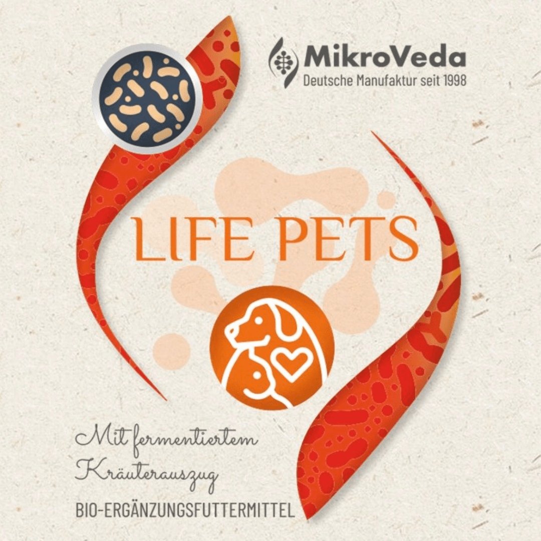 Mikroveda life pets sorgt für die Mikrobiom-Balance Ihres Haustiers. Das fermentierte BIO-Ergänzungsfuttermittel unterstützt bei Futterumstellungen und mehr.