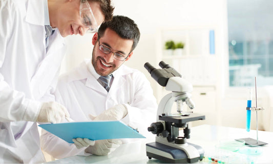 Natuvisan Mikrobiomanalyse. In der heutigen fortschrittlichen Medizin spielt die Mikrobiomanalyse eine wesentliche Rolle