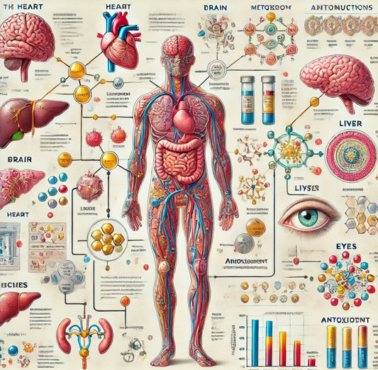 Taurin ist eine schwefelhaltige Aminosäure, die in vielen Geweben des Körpers vorkommt und eine wichtige Rolle in zahlreichen physiologischen Prozessen spielt.