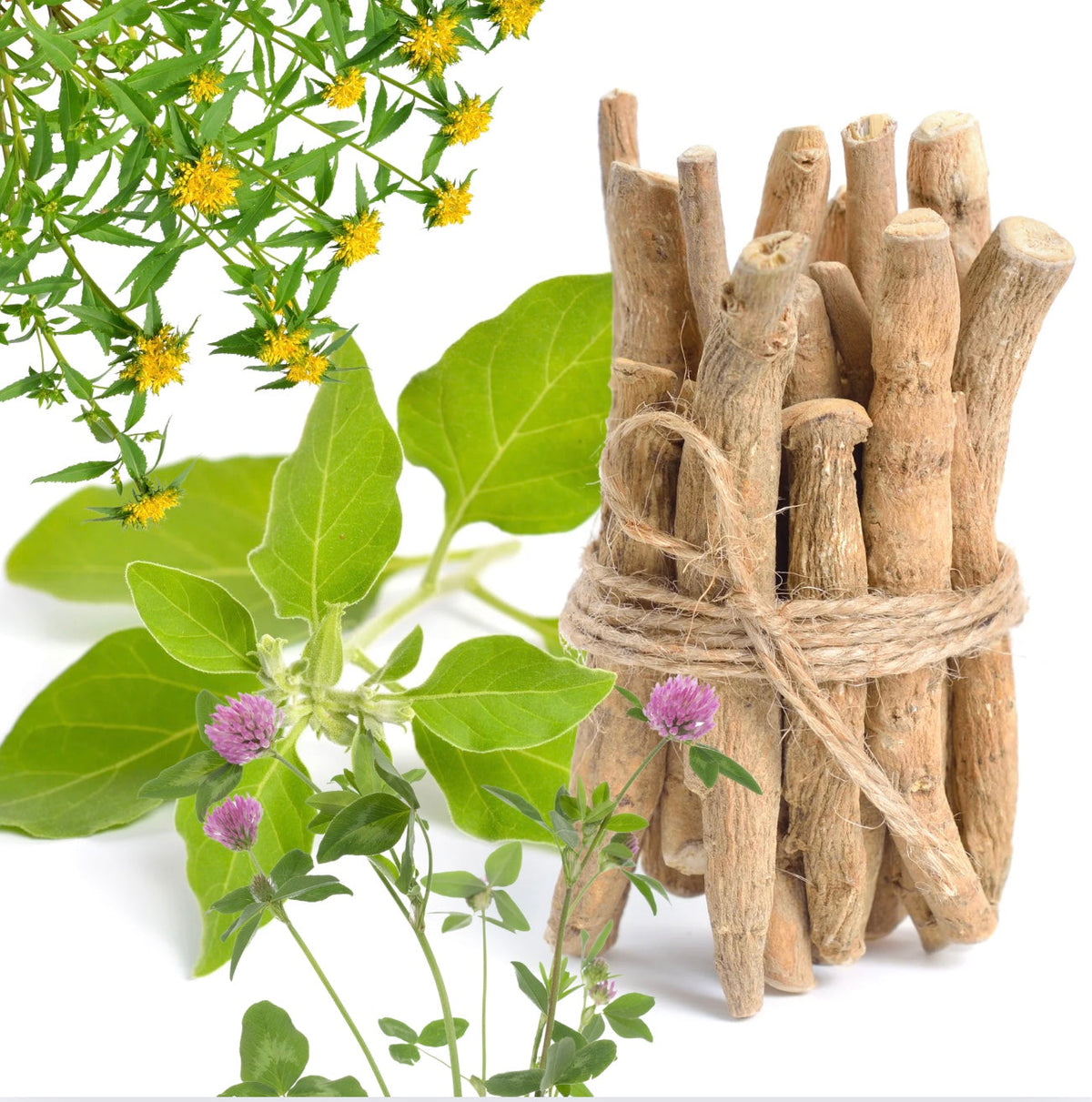 Entdecken Sie, warum Ashwagandha, Rhodiola und Rotklee mit Vorsicht zu genießen sind, und erfahren Sie mehr über ihre Wirkungen.