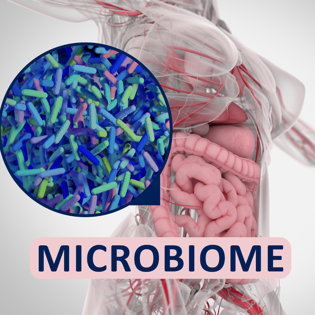 Die Mikrobiomanalyse - Was genau sagt sie aus!