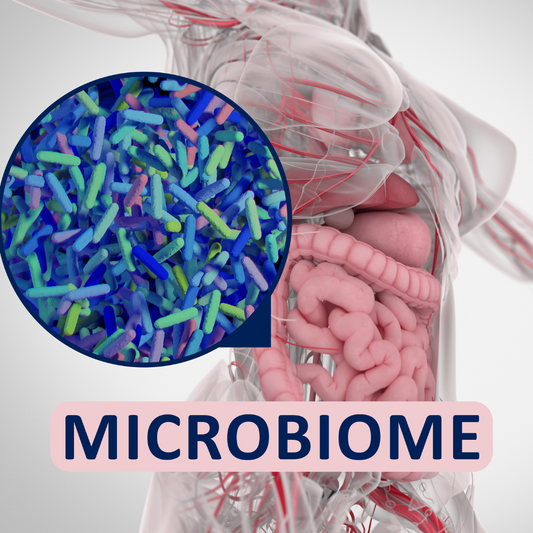 Das Mikrobiom spielt eine zentrale Rolle für unsere Gesundheit. Erfahren Sie, was die Mikrobiomanalyse über Ihre Gesundheit aussagt und wie Sie die Ergebnisse nutzen können