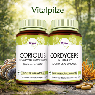 BIO Vitalpilze von Mycovital als Symbol für natürliche Kraft und geprüfte Qualität