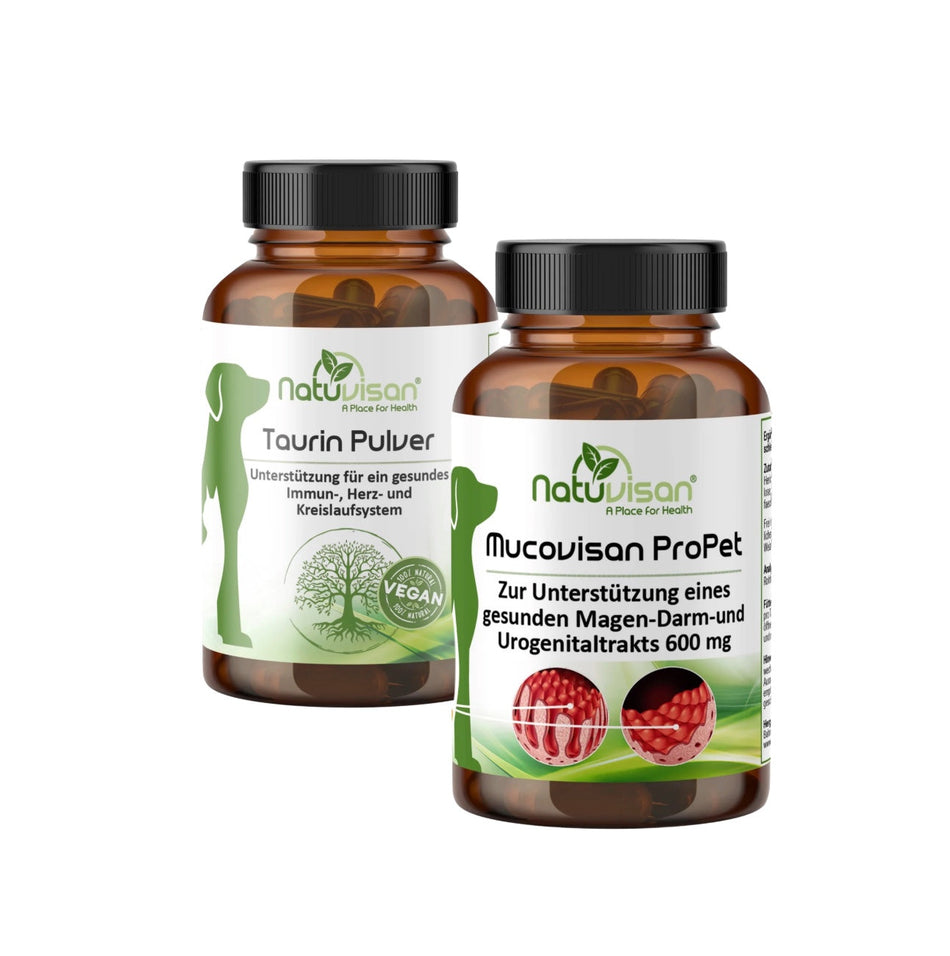 Das Mucovisan ProPet Produktpaket stärkt das Immunsystem und den Darm von Hunden und Katzen mit einer einzigartigen Kombination aus Probiotika, Vitalpilzen und mehr.