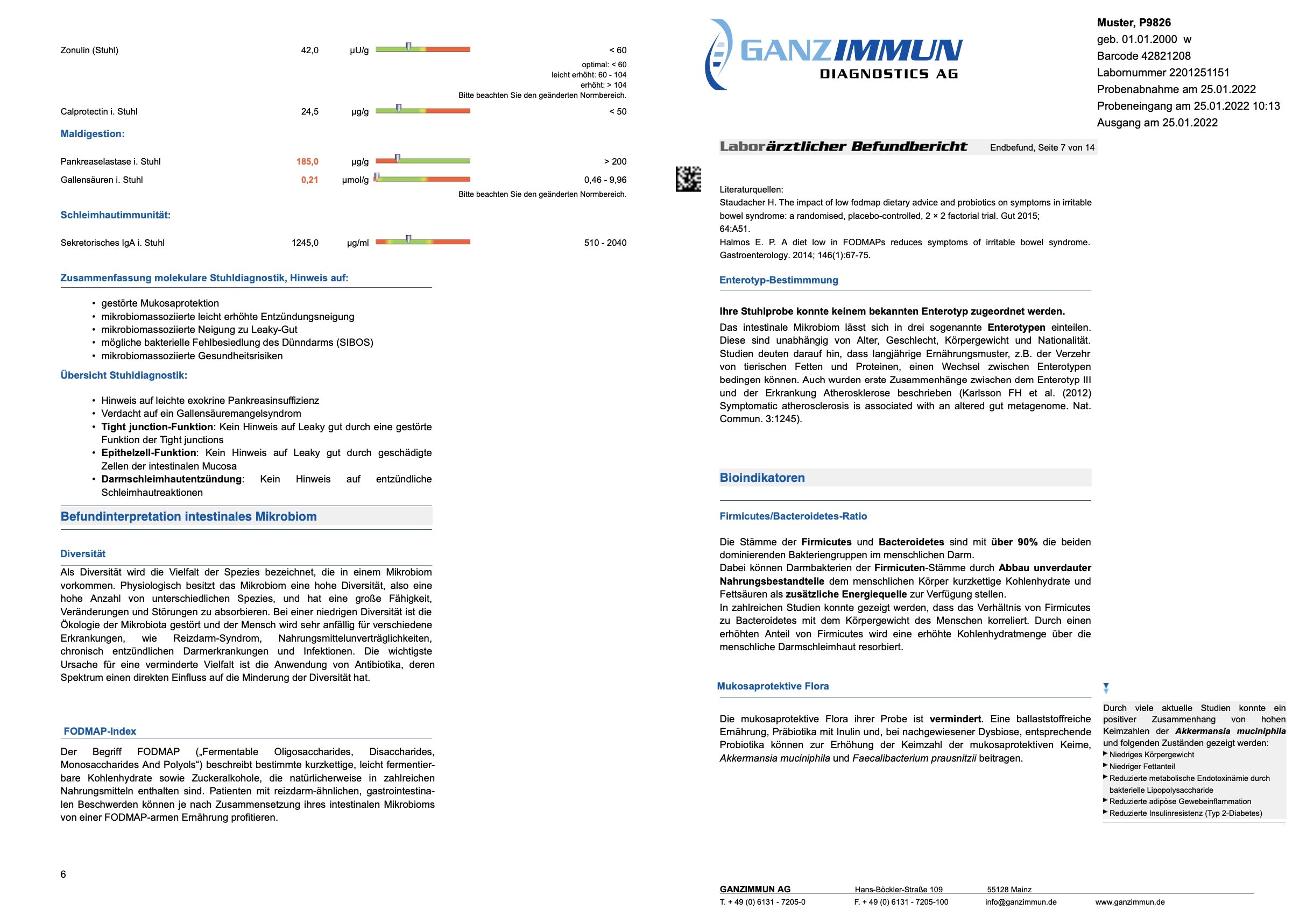 Mikrobiomanalyse PLUS + Leaky Gut, Candida, Histamin - inkl. Beratung und Therapieempfehlung