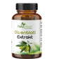 OLIVENBLATT-EXTRAKT 500 mg - 20% Oleuropein + 3 % Hydroxytyrosol - 60 Kapseln