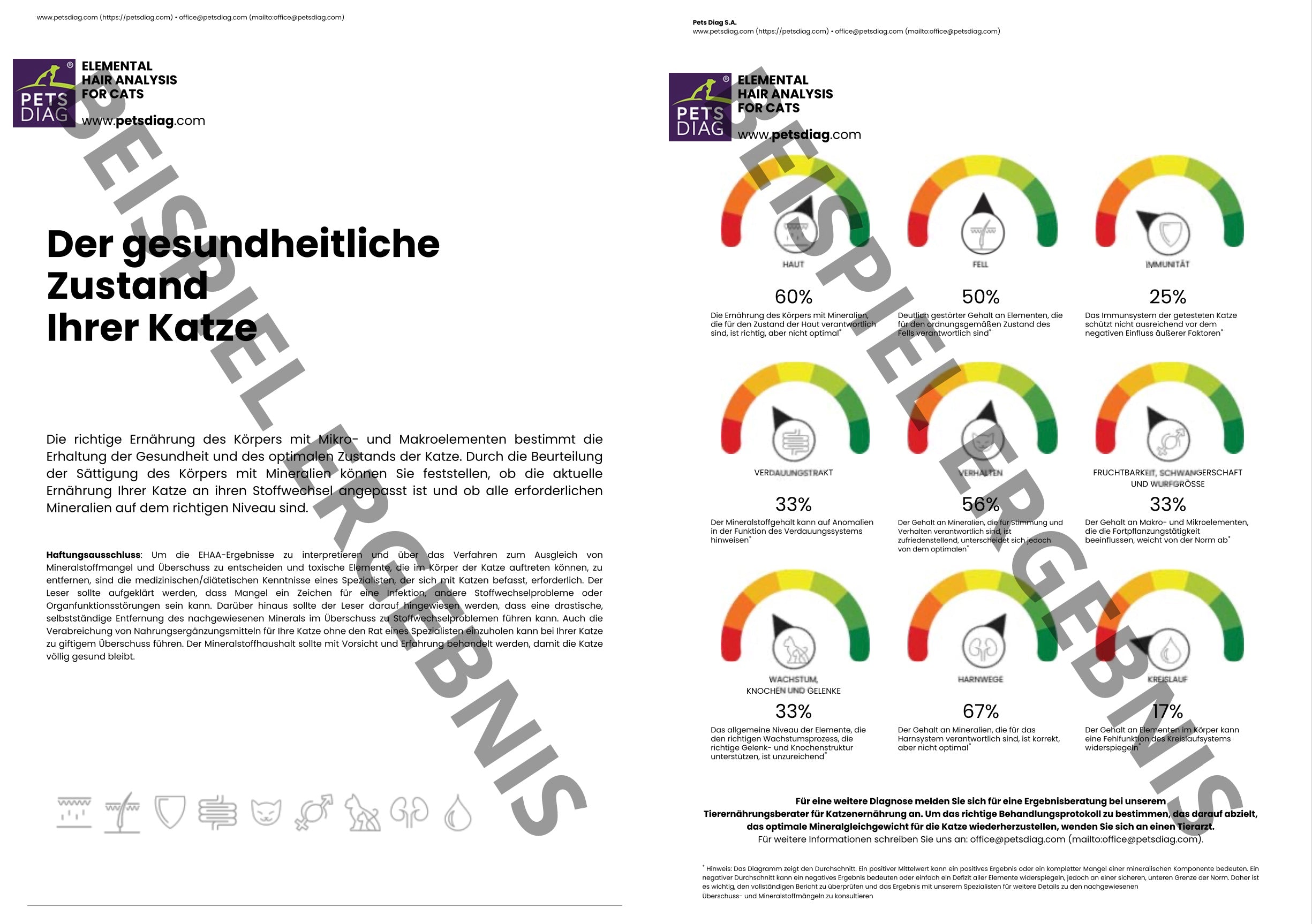 EHAA Premium Gesundheits-Check - Fellmineralanalyse für Deine KatzeDie EHAA informiert über den Zustand, die Krankheiten und die individuellen Ernährungsbedürfnisse der getesteten Katze. Wie ist es möglich?
Basierend auf den nachgew