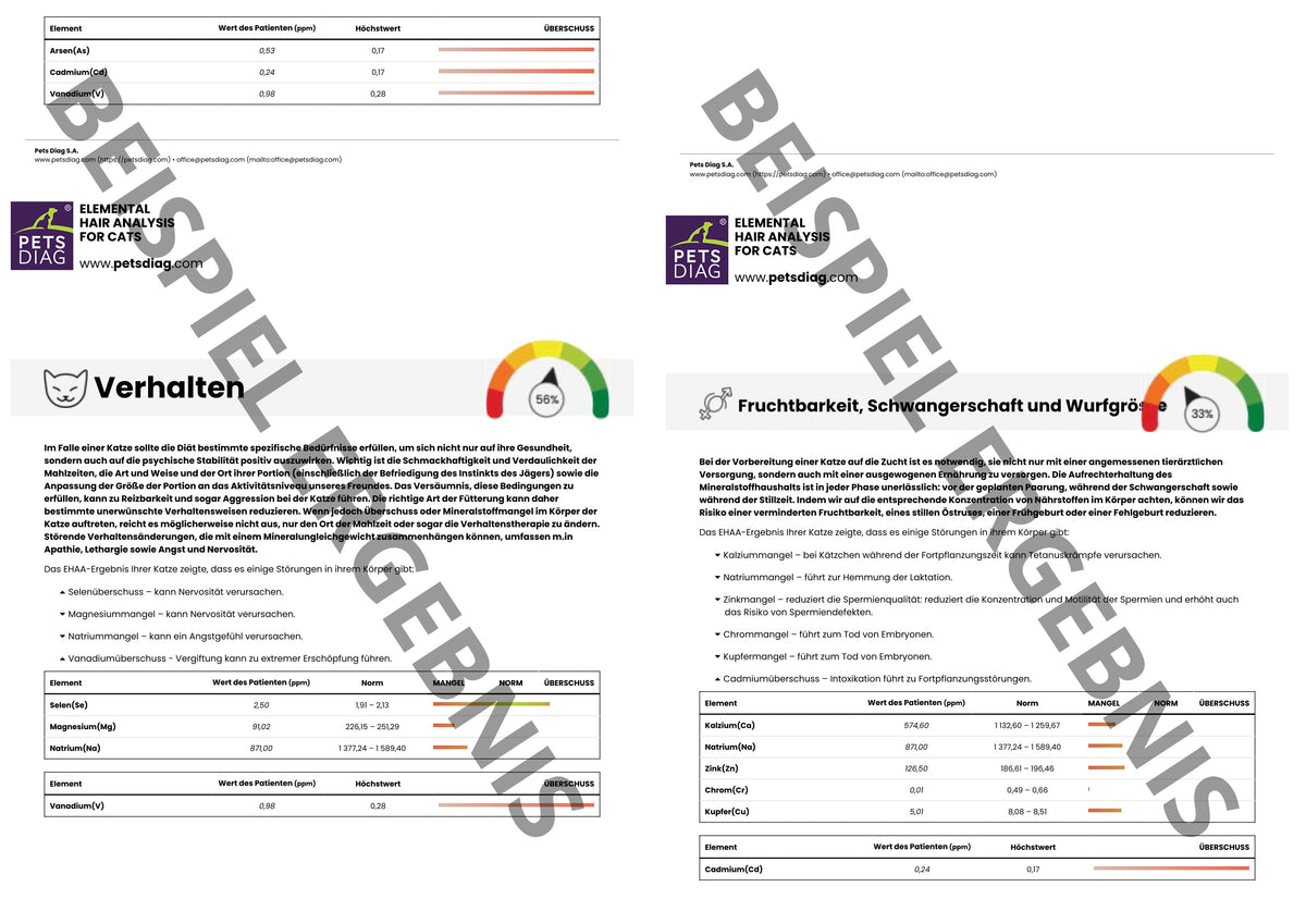 EHAA Premium Gesundheits-Check - Fellmineralanalyse für Deine KatzeDie EHAA informiert über den Zustand, die Krankheiten und die individuellen Ernährungsbedürfnisse der getesteten Katze. Wie ist es möglich?
Basierend auf den nachgew