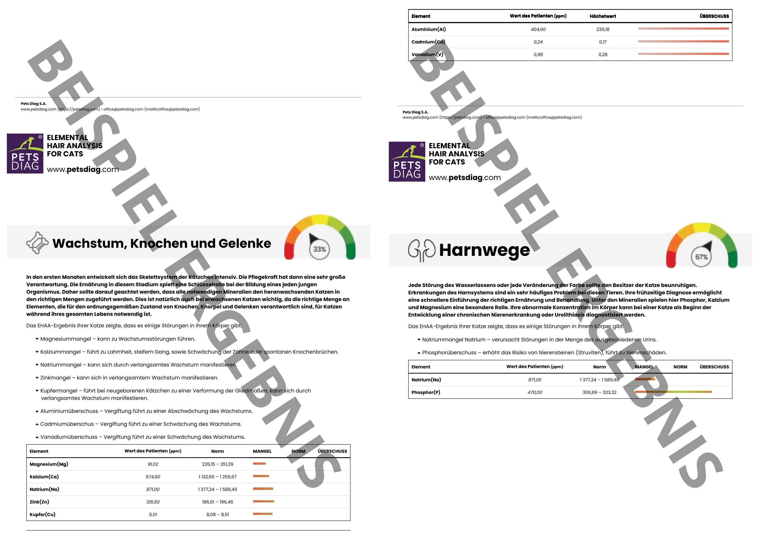 EHAA Premium Gesundheits-Check - Fellmineralanalyse für Deine KatzeDie EHAA informiert über den Zustand, die Krankheiten und die individuellen Ernährungsbedürfnisse der getesteten Katze. Wie ist es möglich?
Basierend auf den nachgew