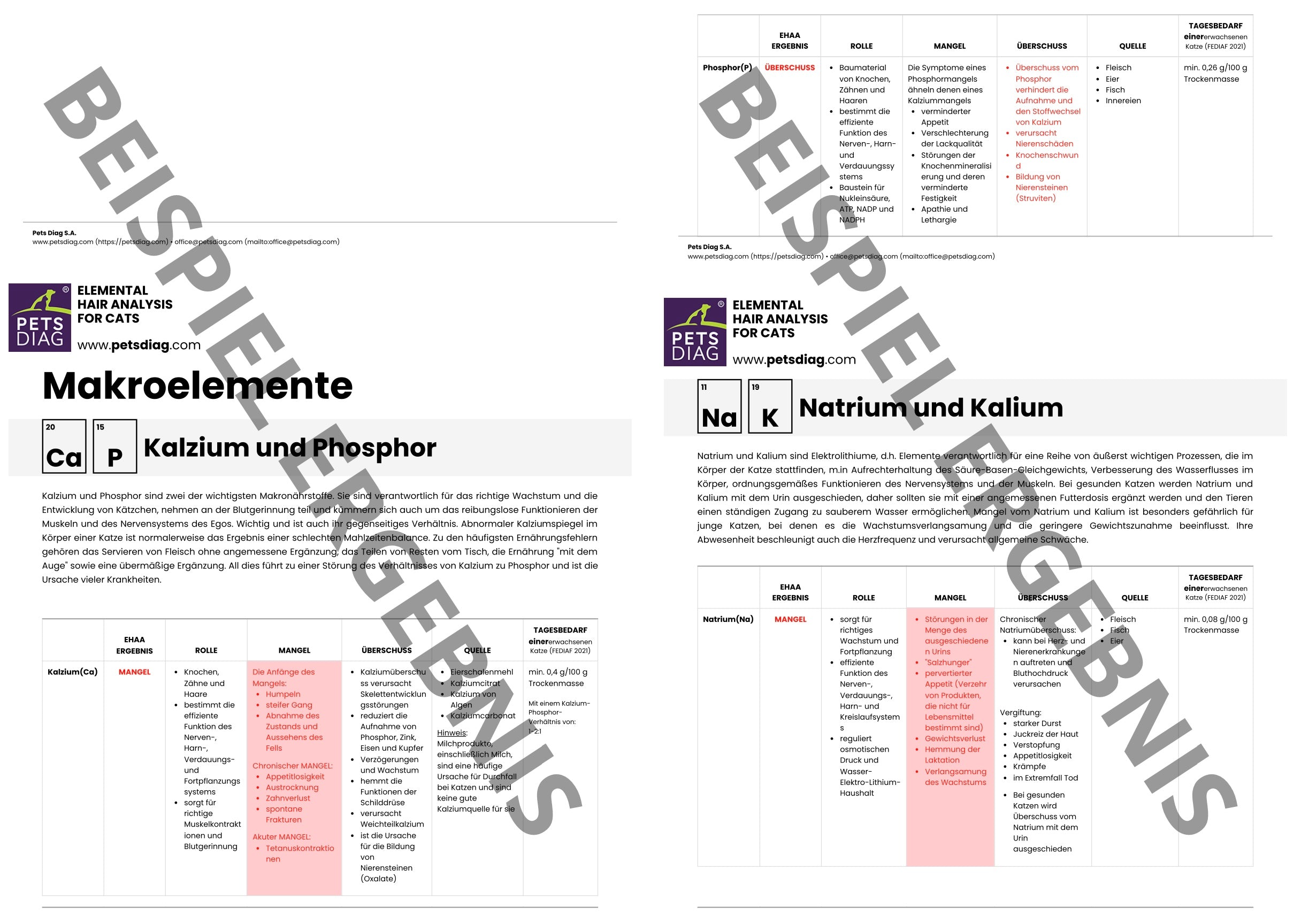 EHAA Premium Gesundheits-Check - Fellmineralanalyse für Deine KatzeDie EHAA informiert über den Zustand, die Krankheiten und die individuellen Ernährungsbedürfnisse der getesteten Katze. Wie ist es möglich?
Basierend auf den nachgew