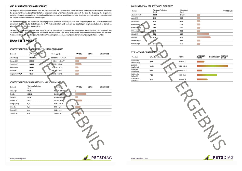 EHAA Premium Gesundheits-Check - Fellmineralanalyse für Deinen HundDie EHAA informiert über den Zustand, die Krankheiten und die individuellen Ernährungsbedürfnisse des getesteten Hundes. Wie ist es möglich?
Basierend auf den nachge
