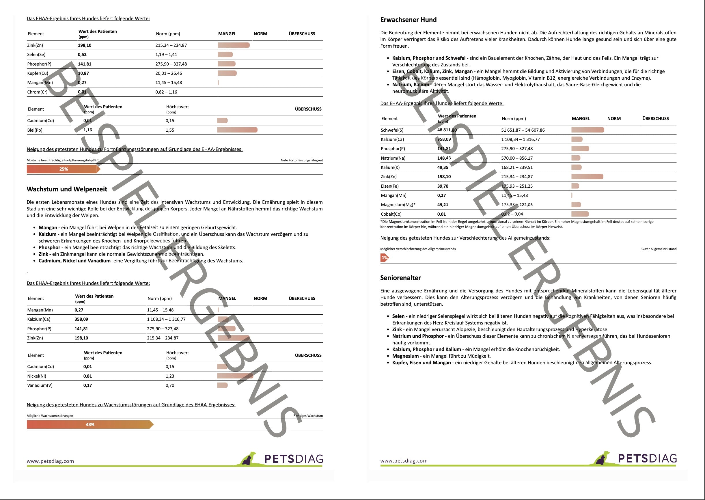 EHAA Premium Gesundheits-Check - Fellmineralanalyse für Deinen HundDie EHAA informiert über den Zustand, die Krankheiten und die individuellen Ernährungsbedürfnisse des getesteten Hundes. Wie ist es möglich?
Basierend auf den nachge