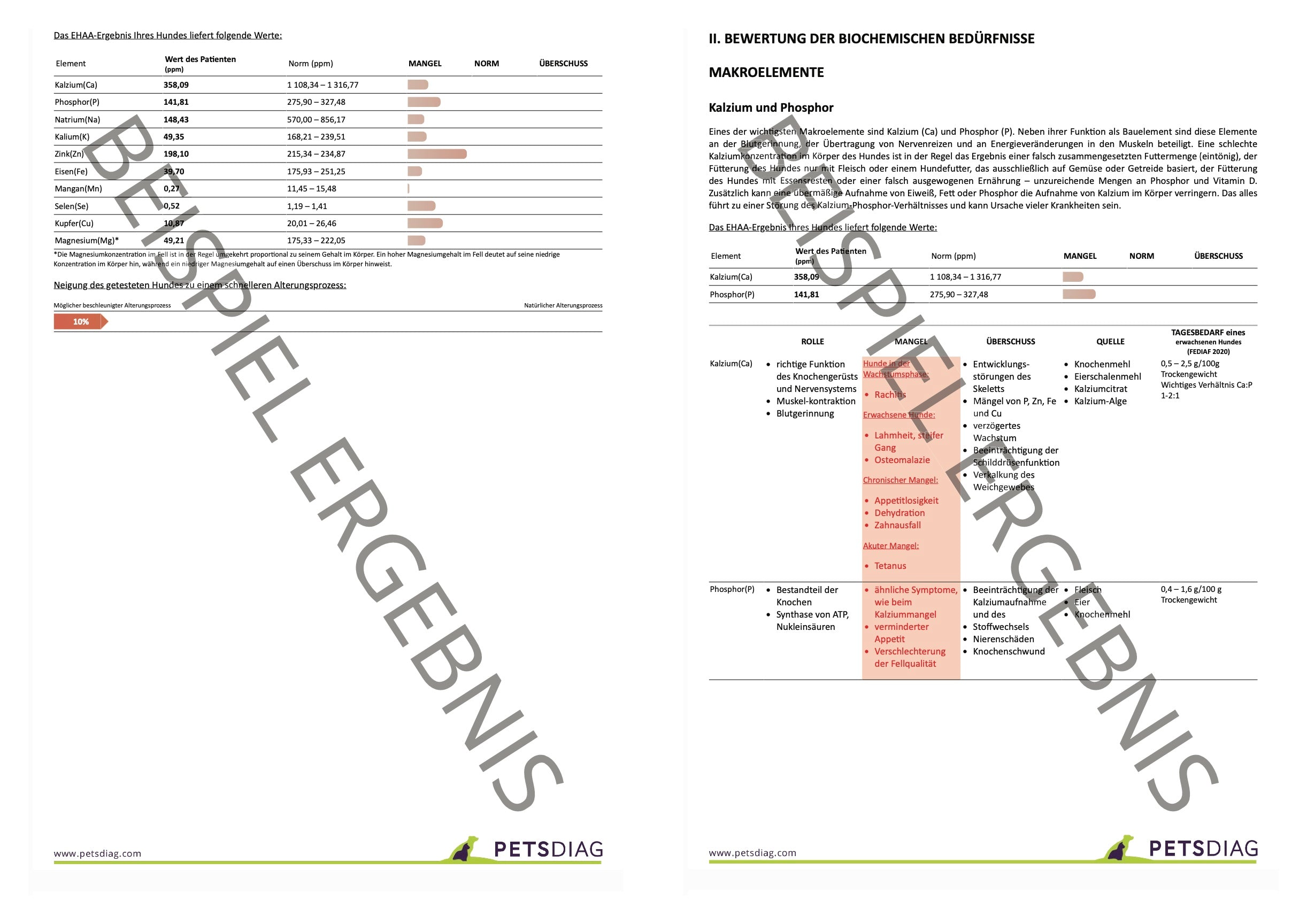 EHAA Premium Gesundheits-Check - Fellmineralanalyse für Deinen HundDie EHAA informiert über den Zustand, die Krankheiten und die individuellen Ernährungsbedürfnisse des getesteten Hundes. Wie ist es möglich?
Basierend auf den nachge