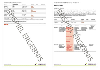 EHAA Premium Gesundheits-Check - Fellmineralanalyse für Deinen HundDie EHAA informiert über den Zustand, die Krankheiten und die individuellen Ernährungsbedürfnisse des getesteten Hundes. Wie ist es möglich?
Basierend auf den nachge