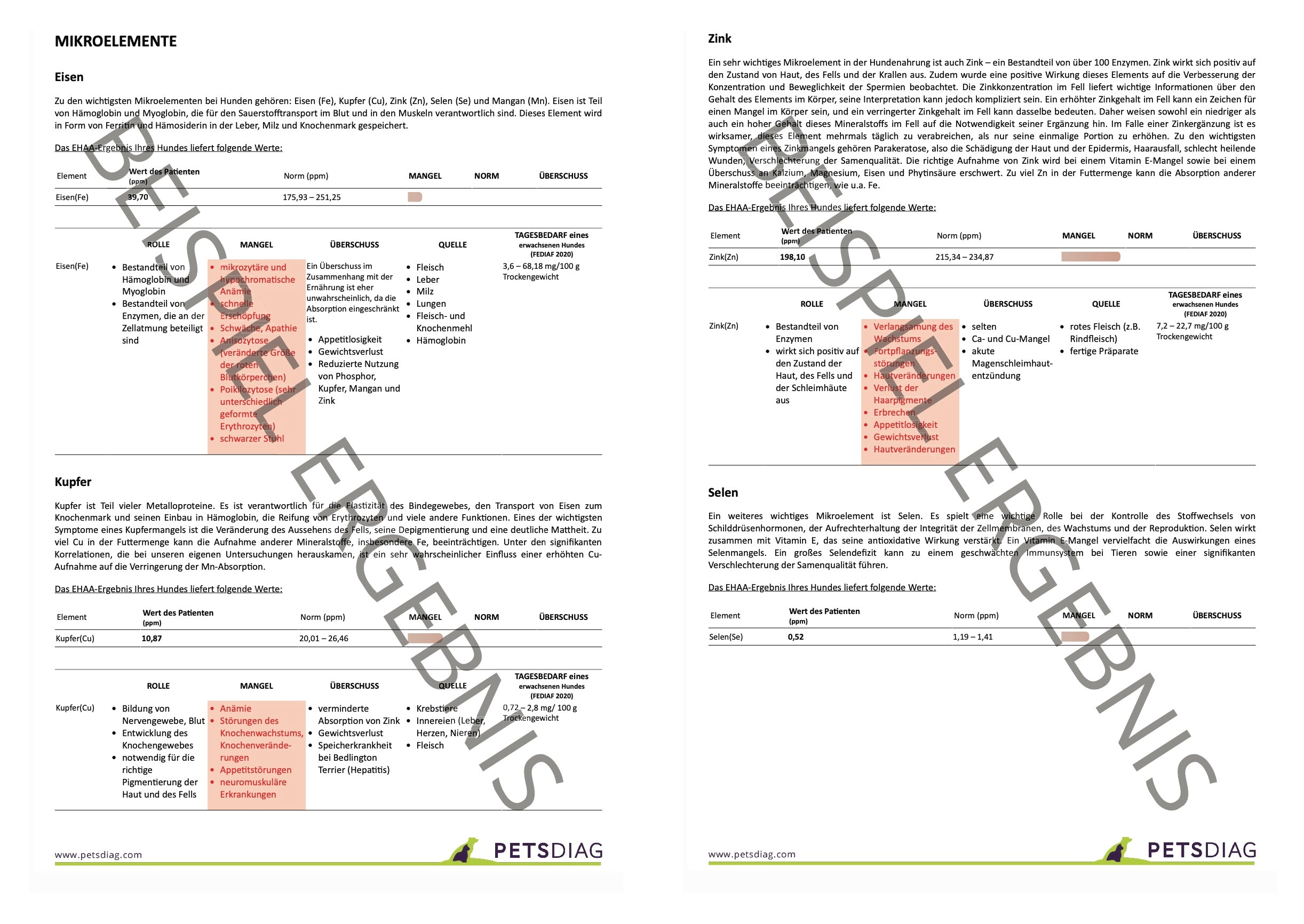 EHAA Premium Gesundheits-Check - Fellmineralanalyse für Deinen HundDie EHAA informiert über den Zustand, die Krankheiten und die individuellen Ernährungsbedürfnisse des getesteten Hundes. Wie ist es möglich?
Basierend auf den nachge