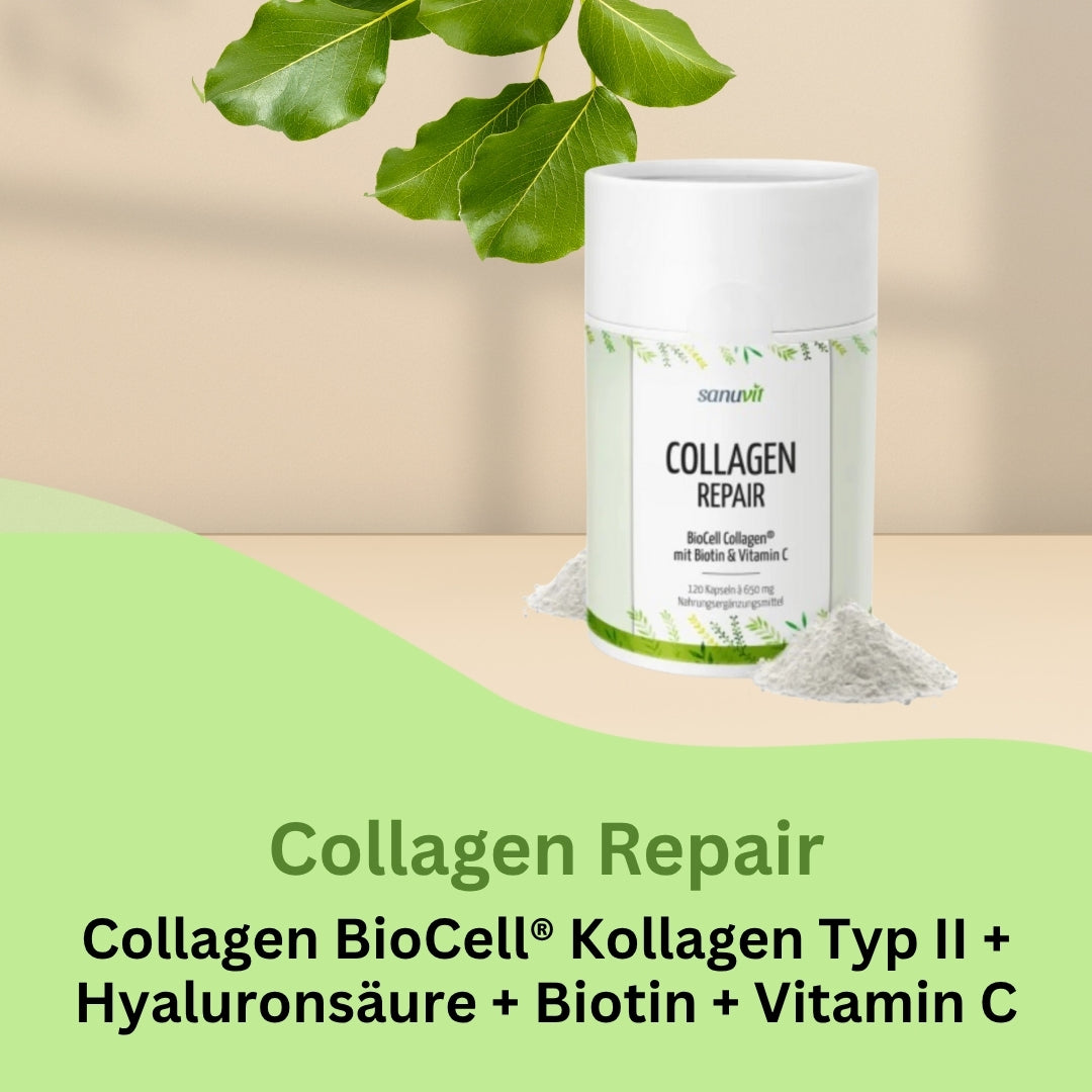 Collagen-Repair Kapseln enthalten neben Biotin und Vitamin C einen mehrfach patentierten natürlichen Vitalstoff aus den USA namens BioCell Collagen®.

Dabei handelt es sich um einen klinisch geprüften, sehr gut bioverfügbaren Komplex aus hydrolysiertem Kollagen Typ II, Hyaluronsäure und Chondroitinsulfat. Kollagen ist ein strukturgebendes Protein des Bindegewebes, das maßgeblich an der Flexibilität und der Elastizität von Haut, Knochen und Knorpeln beteiligt ist. Vitamin C trägt zur Kollagenbildung sowie zu