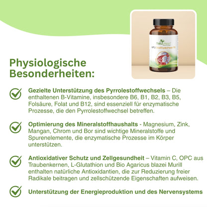 Nahrungsergänzung zur Optimierung des Mineralstoffhaushalts und zur Förderung des Nervensystems – enthält Magnesium, Chrom, Mangan und B-Vitamine.