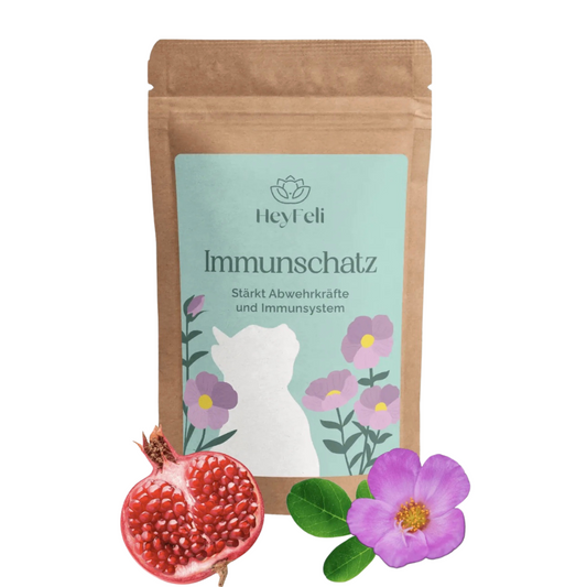 Immunschatz - Stärkt Abwehrkräfte & Immunsystem - 1 Monatspackung - 30g