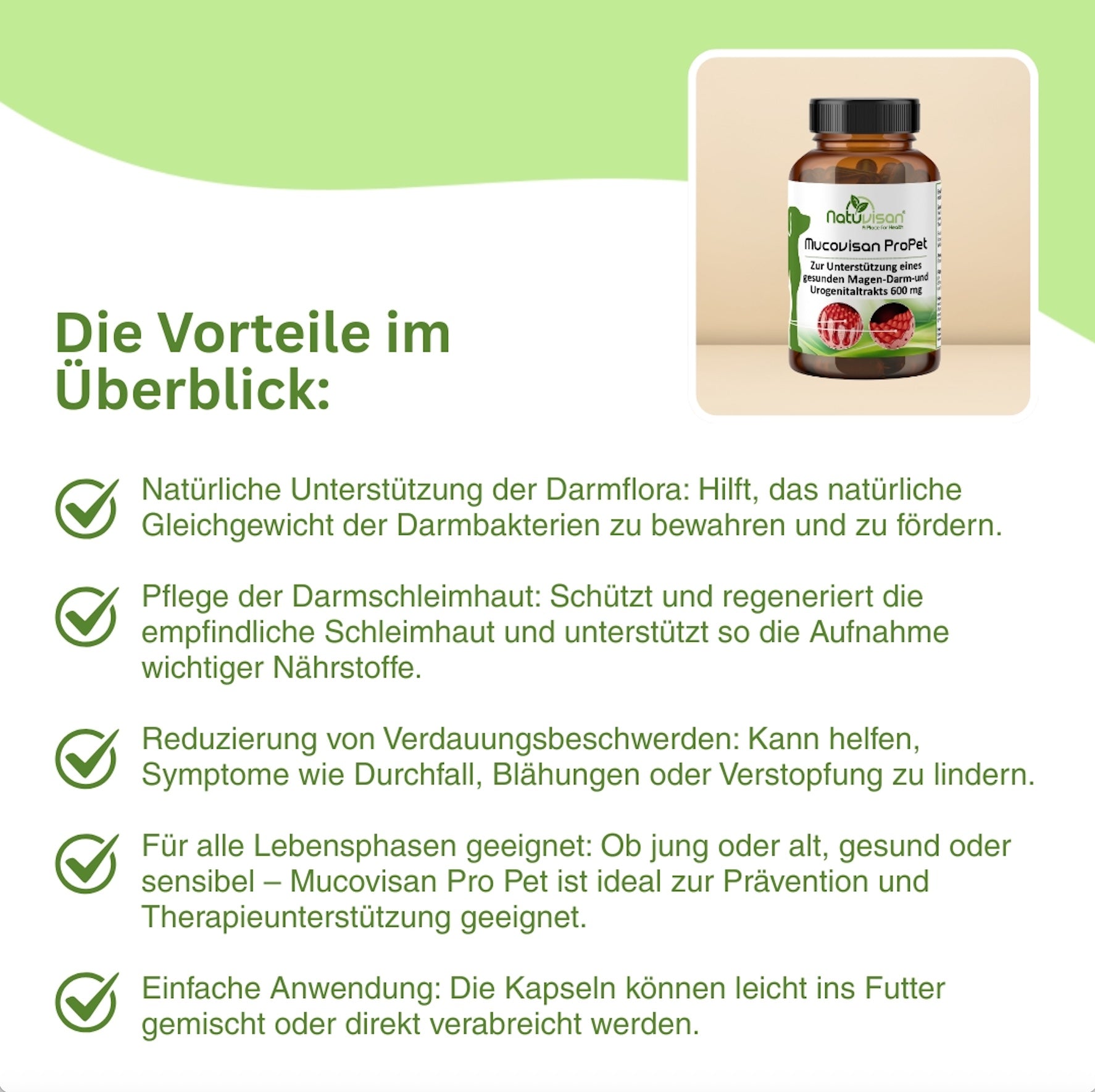 Natürliche Darmpflege für Haustiere – Mucovisan ProPet mit L-Glutamin, Vitalpilzen und präbiotischen Ballaststoffen zur Stabilisierung der Darmschleimhaut und Förderung der Nährstoffaufnahme.