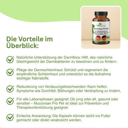 Natürliche Darmpflege für Haustiere – Mucovisan ProPet mit L-Glutamin, Vitalpilzen und präbiotischen Ballaststoffen zur Stabilisierung der Darmschleimhaut und Förderung der Nährstoffaufnahme.
