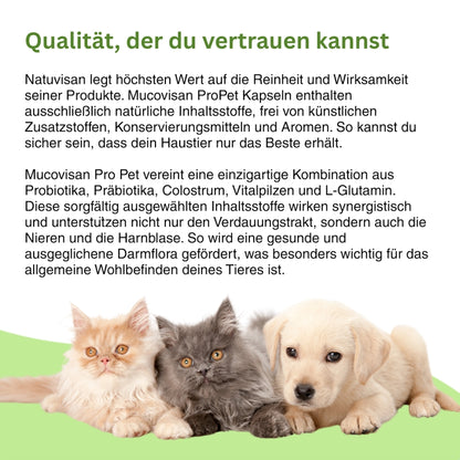 Ganzheitliche Darmgesundheit für dein Tier – Mucovisan ProPet kombiniert Probiotika, Colostrum und pflanzliche Wirkstoffe für Wohlbefinden, Immunschutz und eine stabile Verdauung.
