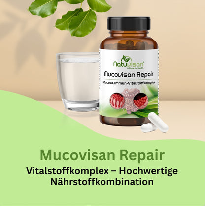Mucovisan Vitalstoffkomplex – mit 20 Milliarden KBE aus vier wissenschaftlich fundierten Bakterienstämmen zur Unterstützung der Darmflora und Schleimhautgesundheit.