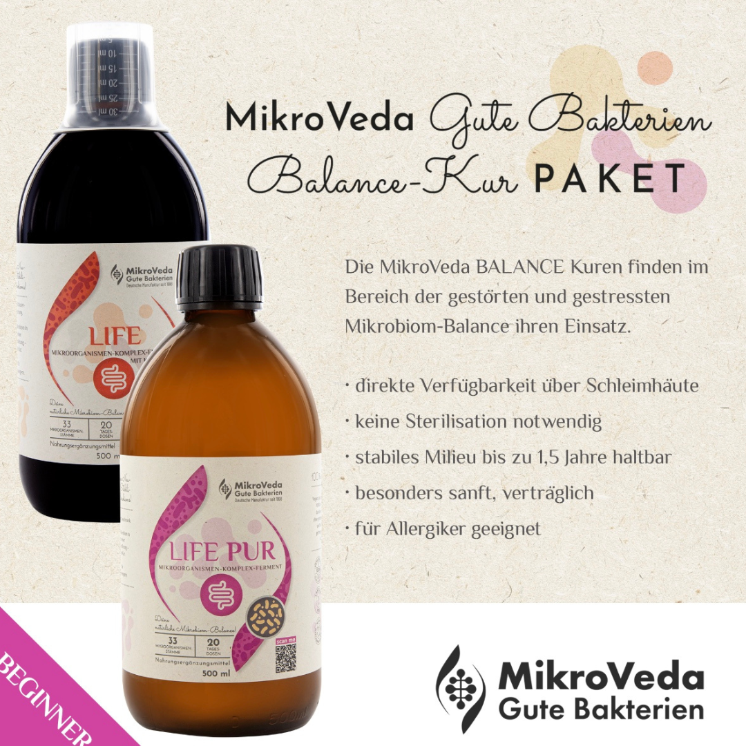 MikroVeda Darm Aufbau Kur Beginner Natuvisan - 2