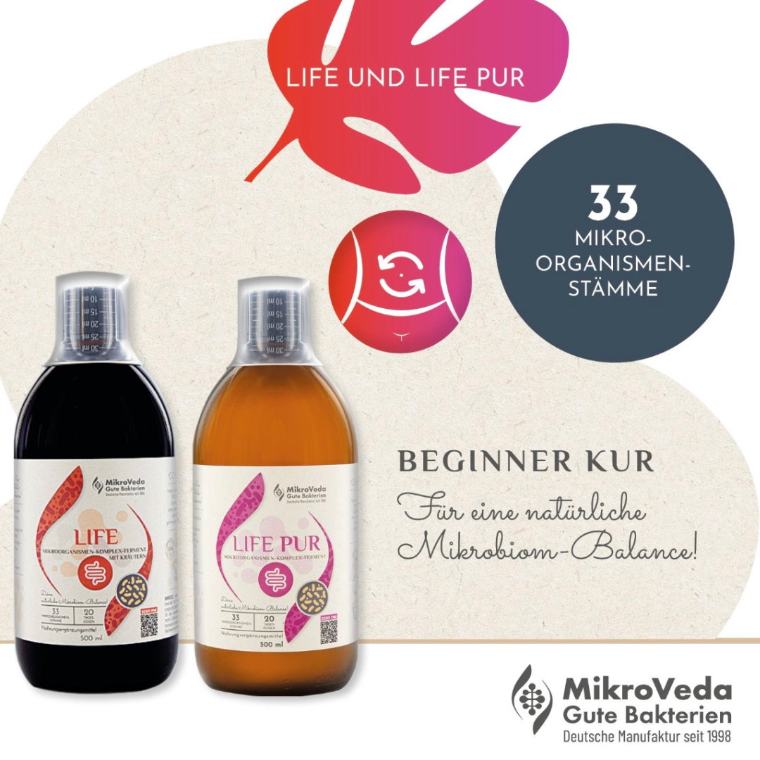 MikroVeda Darm Aufbau Kur Beginner Natuvisan - 3