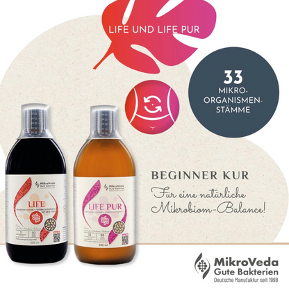 MikroVeda DARM AUFBAU Kur - LIFE PUR & LIFE - 2 Monatskur
