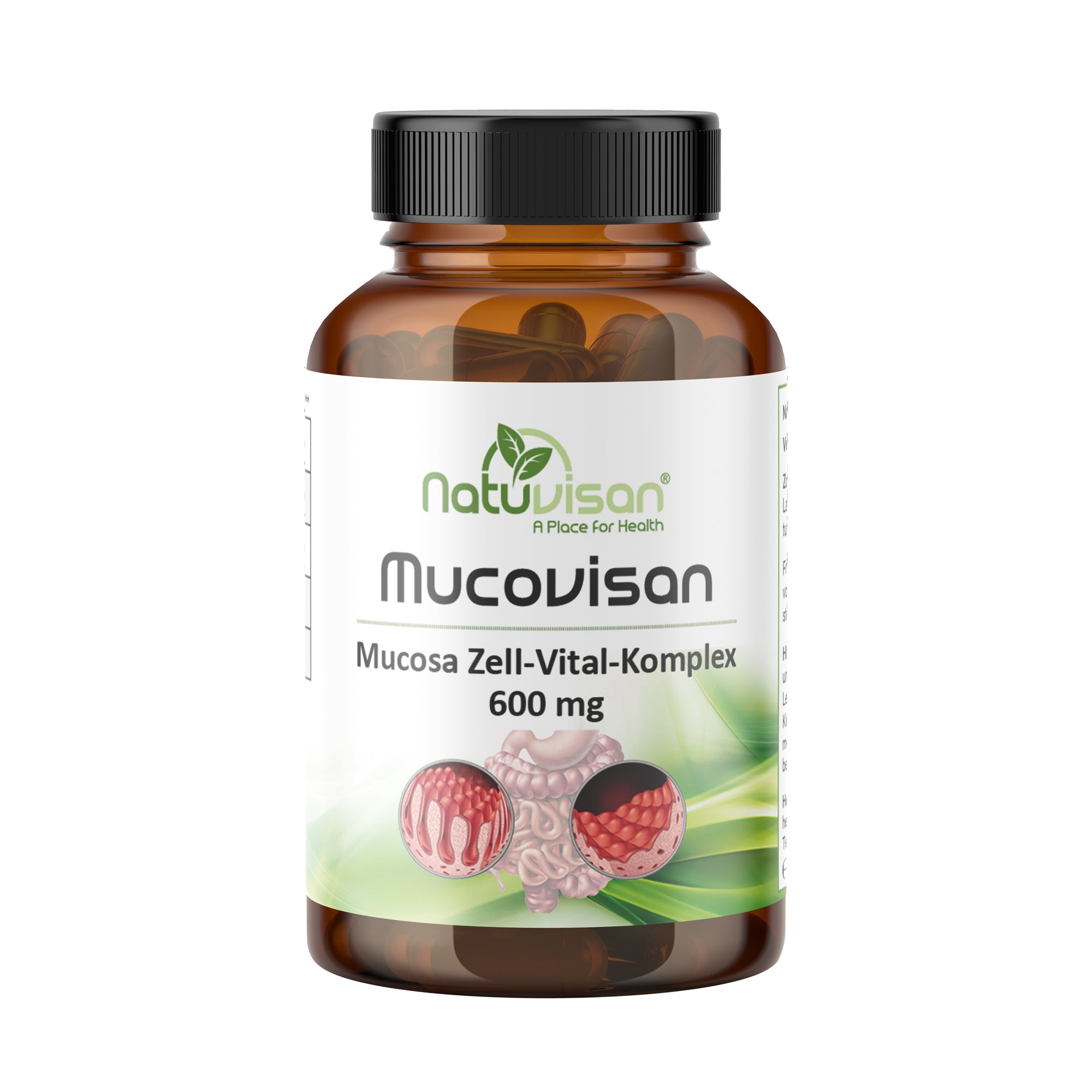 MUCOVISAN Mucosa Vitalstoffkomplex 600 mg für Erwachsene und Kinder - 60 Kapseln