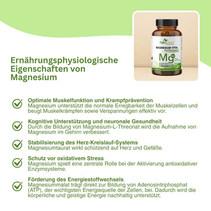 Visualisierung der synergistischen Wirkung von Magnesium, Taurin und Vitamin B6 auf antioxidative Prozesse – unterstützt den Zellschutz vor freien Radikalen, verbessert die Regeneration und stärkt die Stressresistenz.