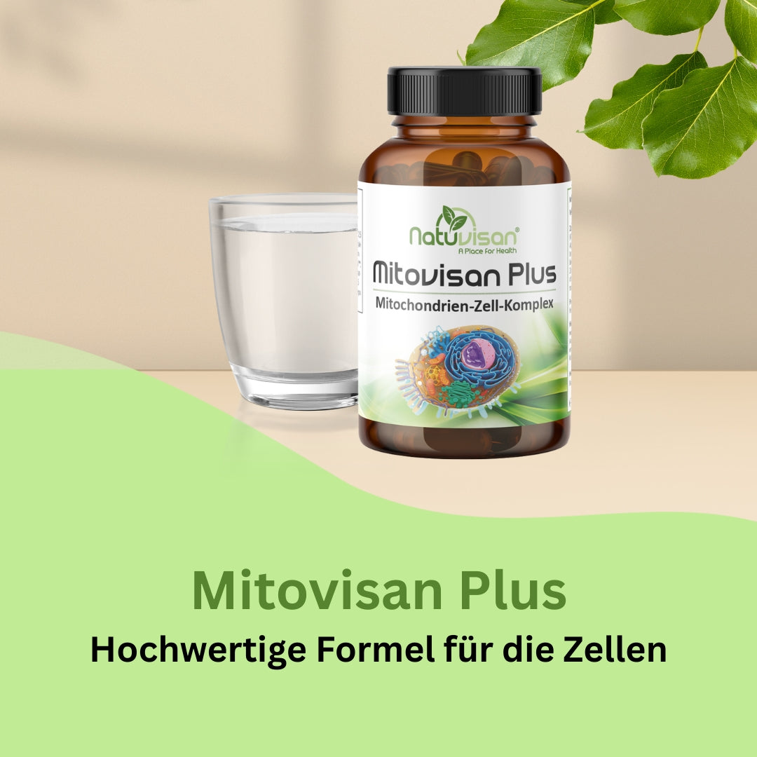 Mitovisan Plus – Hochwertiges Nahrungsergänzungsmittel mit Coenzym Q10, NADH, PQQ und B-Vitaminen zur Unterstützung der mitochondrialen Energieproduktion, Zellschutz und Regeneration.