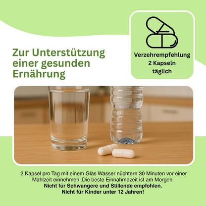 Symbolbild zu energieintensiven Organen – Mitovisan Plus unterstützt mit Q10, Magnesium und B-Vitaminen gezielt Herz, Gehirn, Leber und Muskeln durch verbesserte Zellleistung.