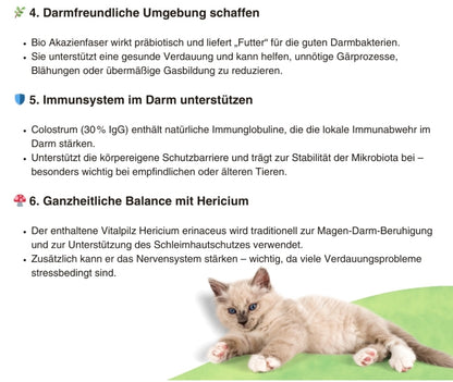 Natuvisan Mucovisan Pro Pet – hochwertige Kapseln zur optimalen Pflege und zum Schutz der empfindlichen Darmgesundheit deines Vierbeiners.