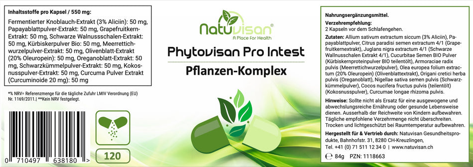 Visualisierung der synergistischen Wirkung sekundärer Pflanzenstoffe – zeigt bioaktive Verbindungen wie Allicin, Papain, Oleuropein und Curcuminoide aus Kräutern, die gemeinsam antioxidative und verdauungsunterstützende Prozesse fördern.